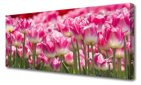 Obraz Canvas Tulipány kvety príroda 125x50 cm