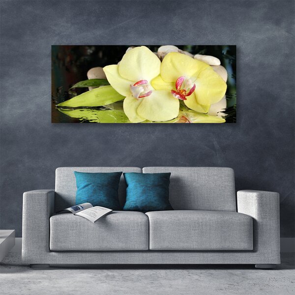 Obraz Canvas Okvetné plátky orchidea 125x50 cm