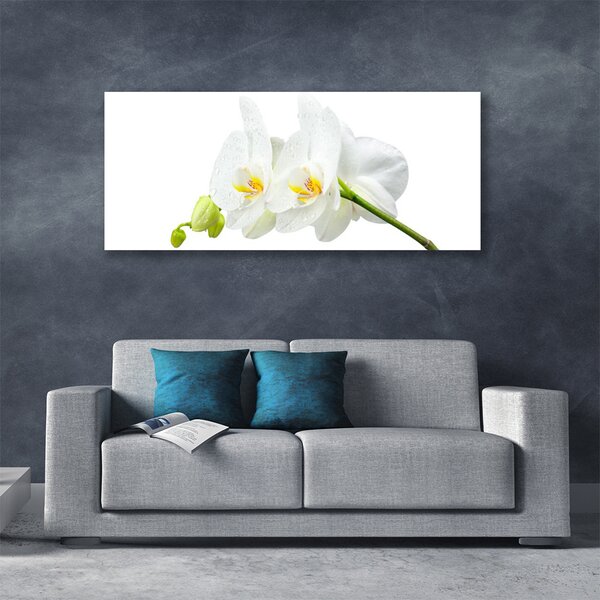 Obraz Canvas Plátky kvet bíla orchidea 125x50 cm