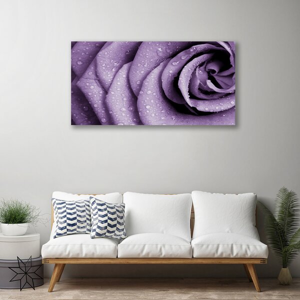 Obraz Canvas Ruže kvet rastlina 125x50 cm
