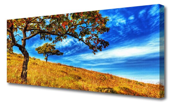 Obraz Canvas Lúka strom príroda 125x50 cm