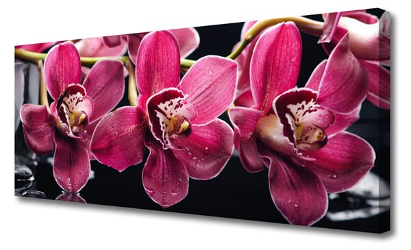 Obraz Canvas Kvety orchidey výhonky príroda 125x50 cm