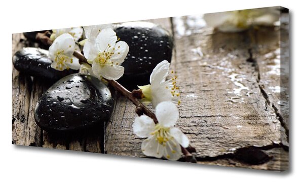Obraz Canvas Kvety kamene zen 125x50 cm