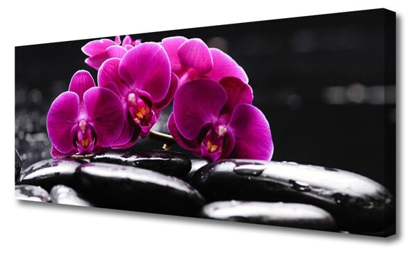 Obraz Canvas Kamene zen orchidea kúpele 125x50 cm