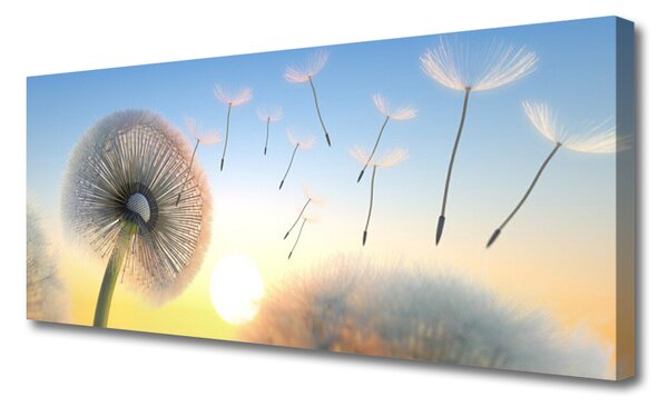 Obraz Canvas Púpava kvety 125x50 cm