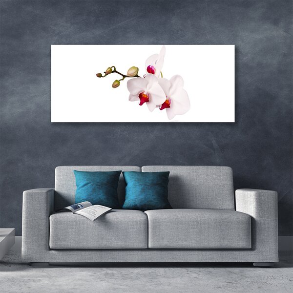 Obraz Canvas Kvety príroda orchidea 125x50 cm