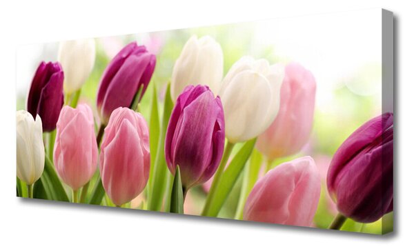 Obraz Canvas Tulipány kvety príroda lúka 125x50 cm