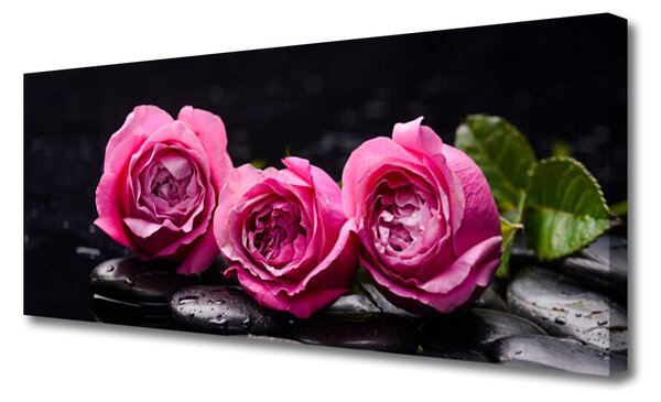Obraz Canvas Ruže kamene zen kúpele príroda 125x50 cm