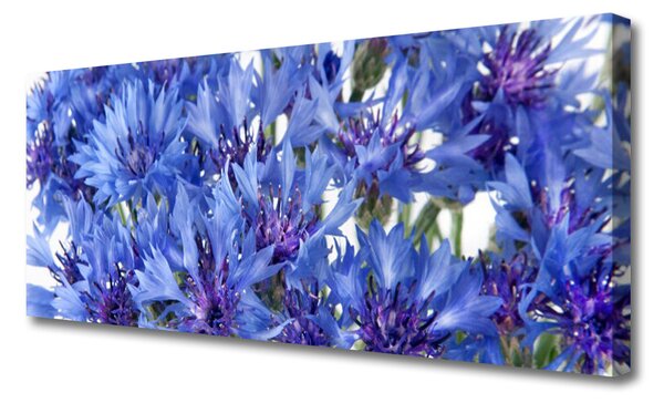Obraz Canvas Kvety rastlina príroda 125x50 cm