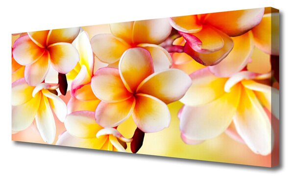 Obraz Canvas Kvety rastlina príroda 120x60 cm