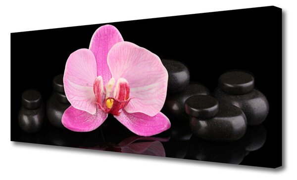 Obraz Canvas Kvet kamene rastlina 125x50 cm