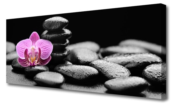 Obraz Canvas Kvet kamene umenie 125x50 cm