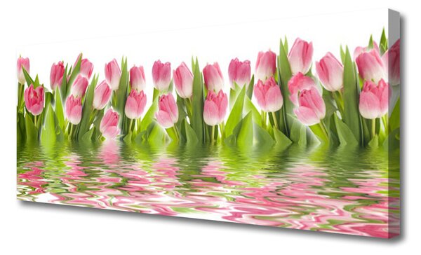 Obraz Canvas Tulipány rastlina príroda 125x50 cm