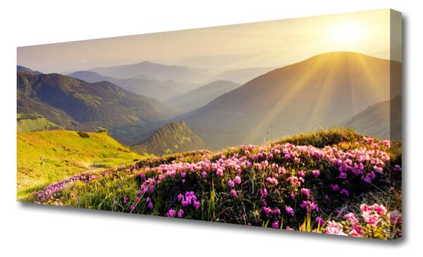 Obraz Canvas Hora lúka krajina 125x50 cm
