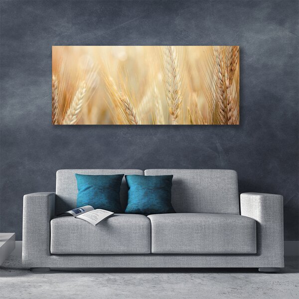 Obraz Canvas Pšenica rastlina príroda 125x50 cm