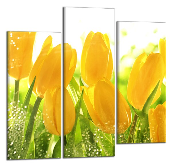 Obraz do bytu Žlté tulipány