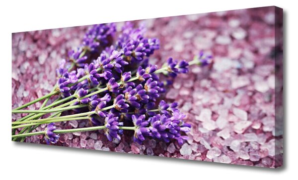 Obraz Canvas Kvety rastlina príroda 125x50 cm