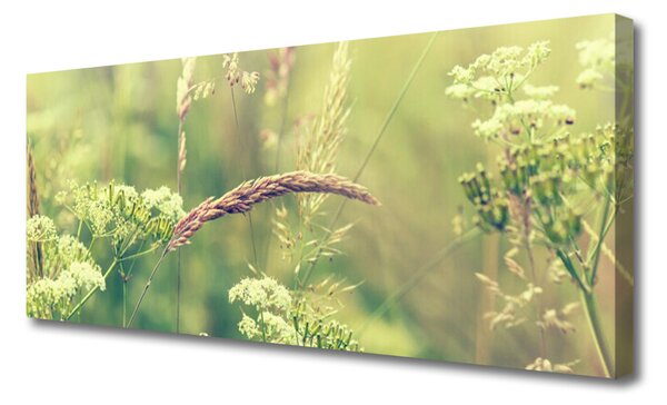 Obraz Canvas Divoké rastliny príroda 125x50 cm