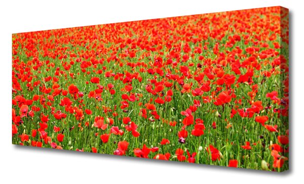 Obraz Canvas Maky rastlina príroda 125x50 cm