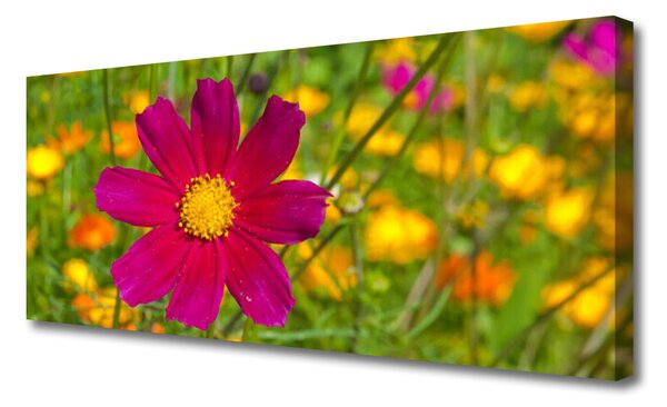 Obraz Canvas Kvet rastlina príroda 125x50 cm