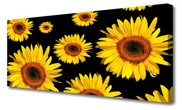 Obraz Canvas Slnečnica rastlina príroda 125x50 cm