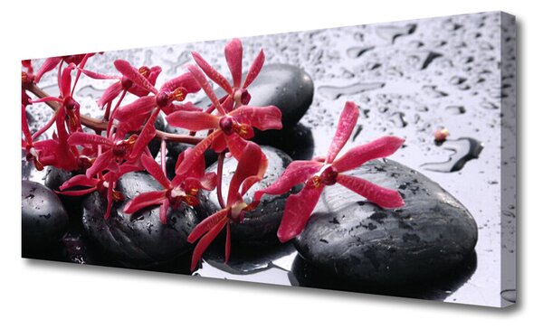 Obraz Canvas Kvet kamene umenie 125x50 cm