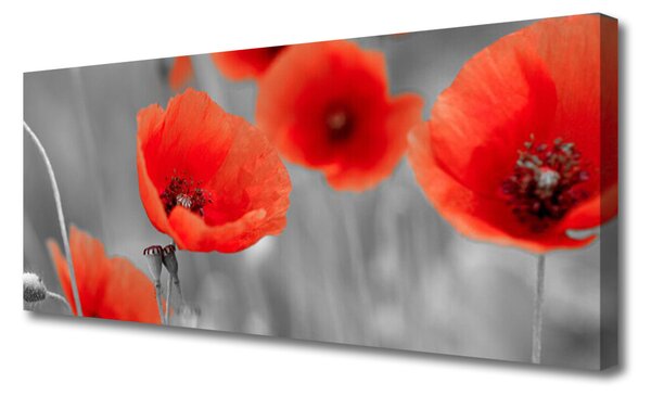 Obraz Canvas Maky rastlina príroda 125x50 cm
