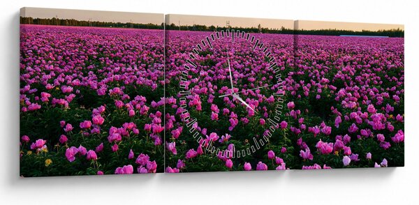 Obraz - Lúka fialových tulipánov (s hodinami) (90x30 cm)