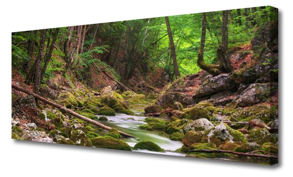 Obraz Canvas Les mech príroda 125x50 cm