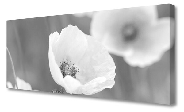 Obraz Canvas Maky rastlina príroda 125x50 cm