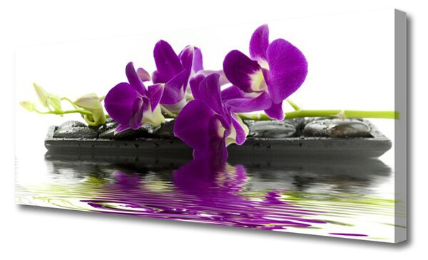 Obraz Canvas Kvety rastlina príroda 125x50 cm