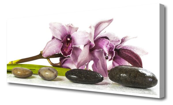 Obraz Canvas Kvet kamene rastlina 125x50 cm
