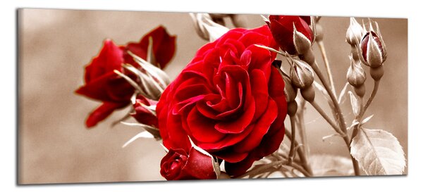 Moderný obraz Červená ruža