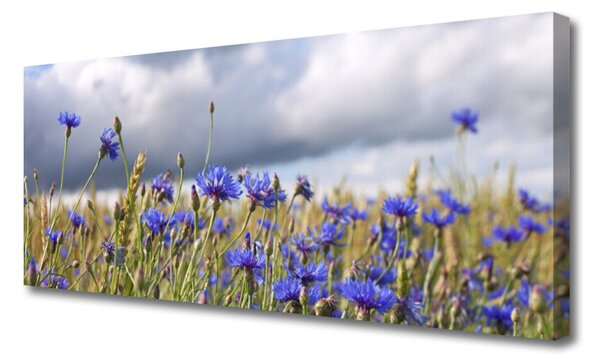 Obraz Canvas Kvety rastlina príroda 125x50 cm
