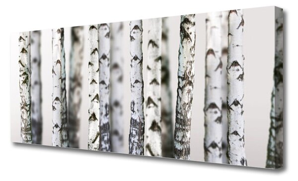 Obraz Canvas Stromy príroda 125x50 cm