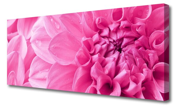 Obraz Canvas Kvety rastlina príroda 125x50 cm