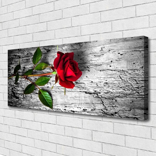 Obraz Canvas Ruže kvet rastlina 125x50 cm