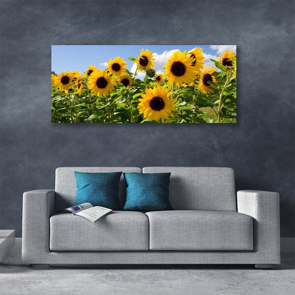 Obraz Canvas Slnečnica kvet rastlina 125x50 cm