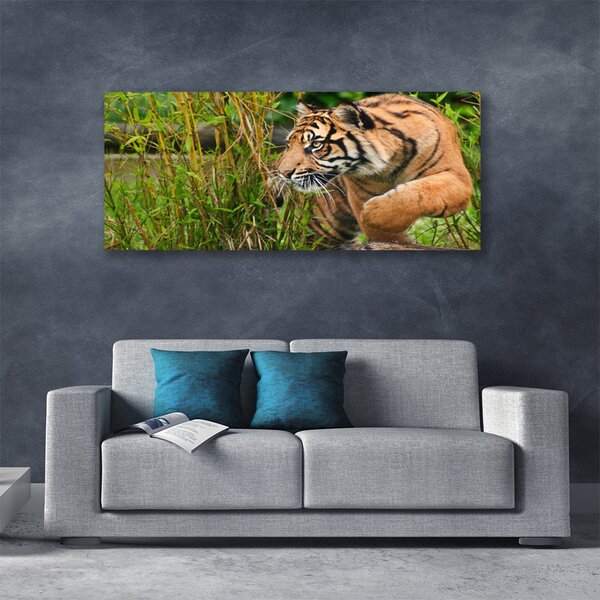 Obraz Canvas Tiger zvieratá 125x50 cm