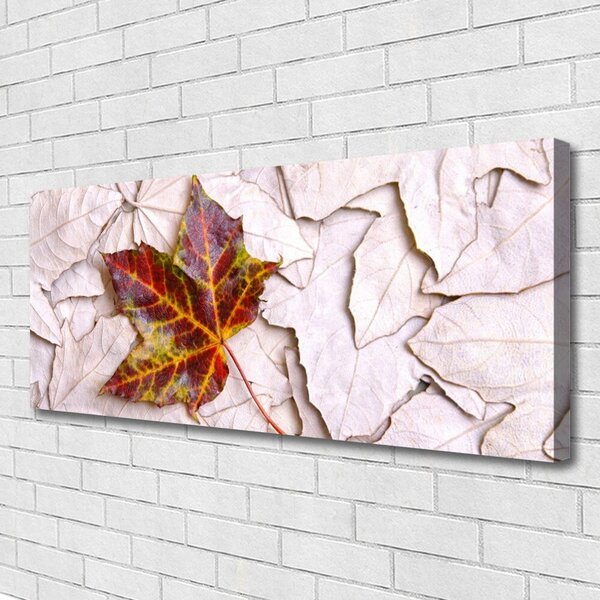 Obraz na plátne Listy rastlina 125x50 cm