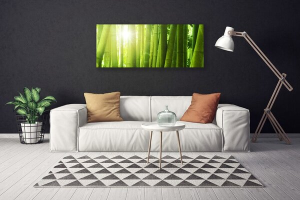 Obraz na plátne Bambus rastlina 125x50 cm