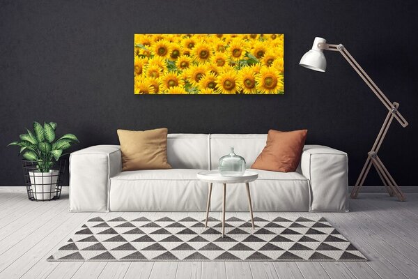 Obraz na plátne Slunecznice rastlina 125x50 cm