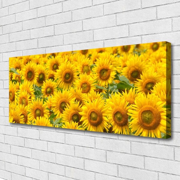 Obraz na plátne Slunecznice rastlina 125x50 cm