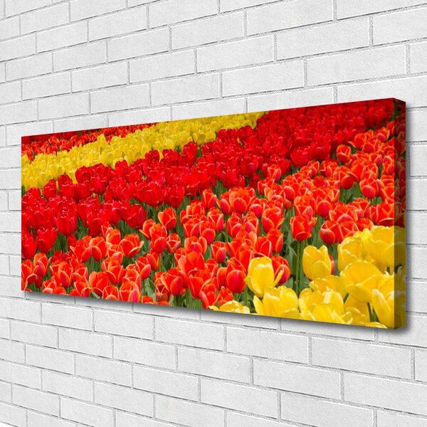 Obraz na plátne Tulipány kvety 125x50 cm