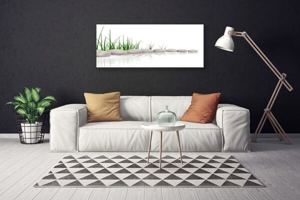 Obraz na plátne Kamene tráva umenie 125x50 cm