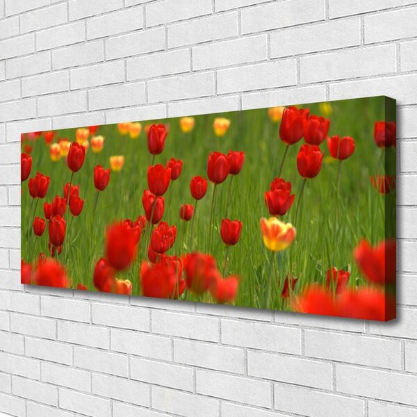 Obraz na plátne Tulipány rastlina 125x50 cm