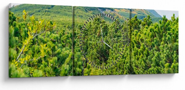 Obraz - Babi Hora, Poľsko (s hodinami) (90x30 cm)