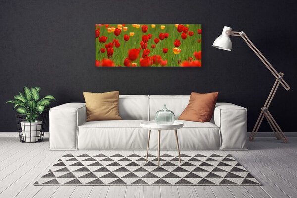 Obraz na plátne Tulipány rastlina 125x50 cm