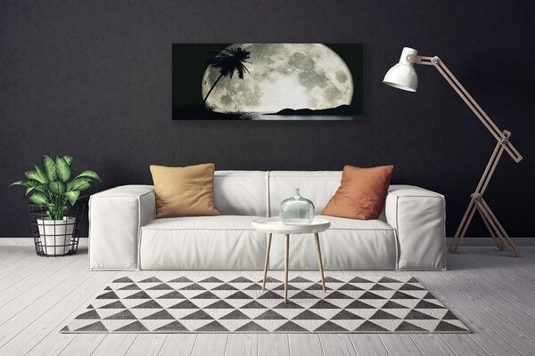 Obraz na plátne Noc mesiac palma krajina 125x50 cm