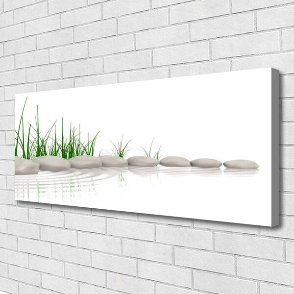 Obraz na plátne Kamene tráva umenie 125x50 cm
